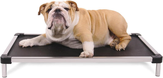 Chew Proof Elevated Cooling Outdoor Cot Bed for Small Dogs & Puppies - Virtually Indestructible, Preassembled, Withstands Aggressive Chewers - S, Black Mesh