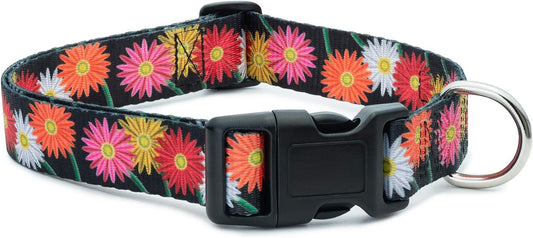 Floral Flower Dog Collar (Large, Daisy)