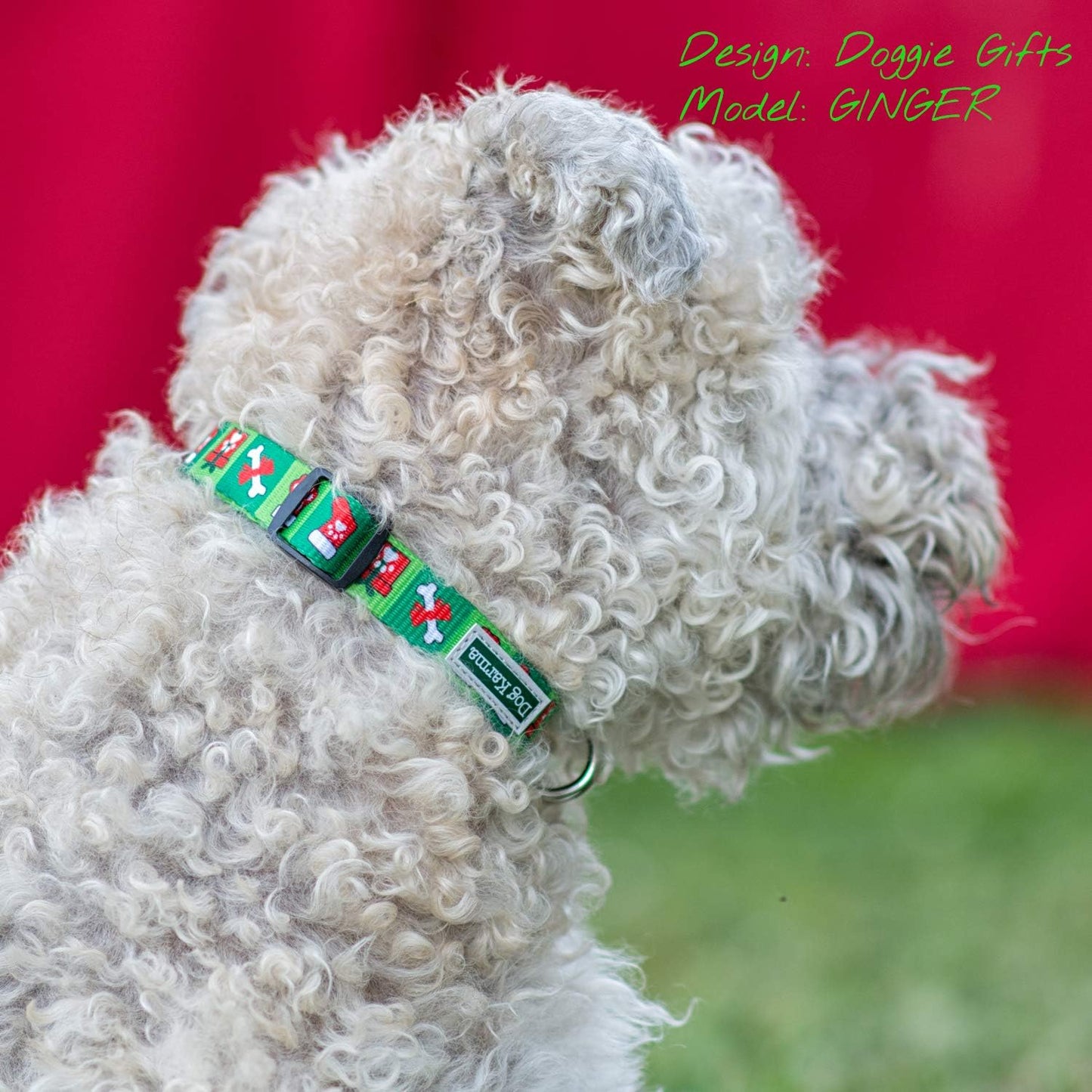 Christmas Collar (Doggie Gifts, Large)